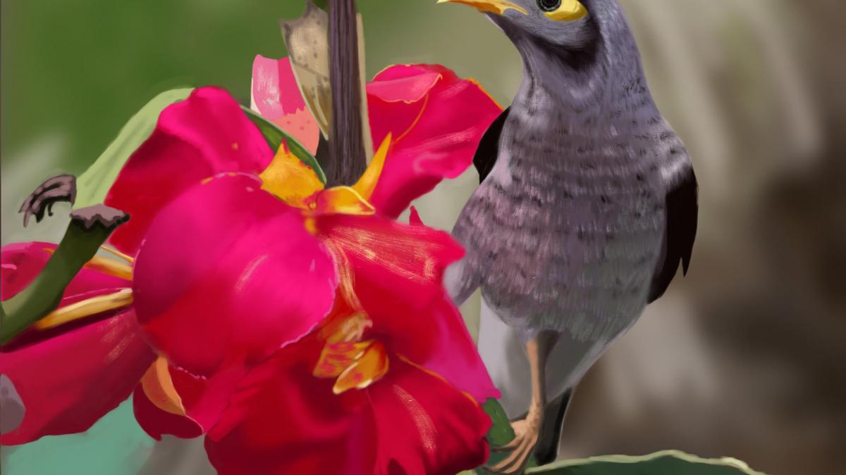 Saajis oiseaux et fleurs
