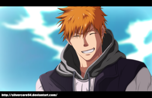 Ichigo kurosaki the kurosaki family 31122977 500 324